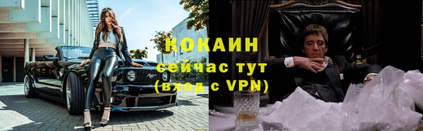 прущие крисы Абаза