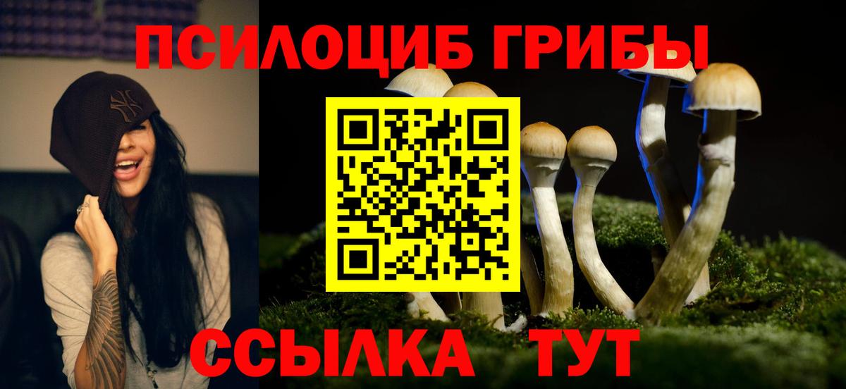 Отрадный  Галлюциногенные грибы Psilocybine cubensis  Галлюциногенные грибы Cubensis  Вход с VPN 