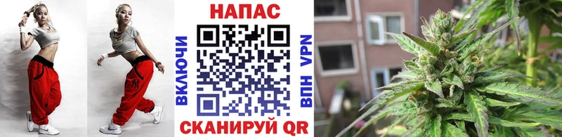 дарнет шоп  Отрадный  Конопля SATIVA & INDICA 